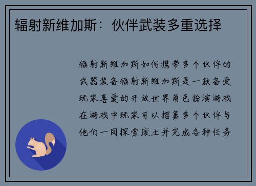 辐射新维加斯：伙伴武装多重选择